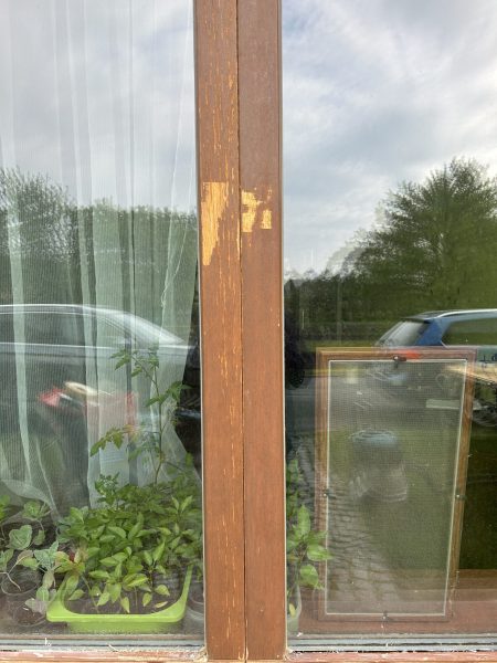 463139D2-D0B4-4738-9481-8CFAECFA3F75